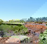 Bladensburg National Park - Kingaroy Accommodation