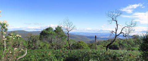 Blue Range Camping And Picnic Area - Kingaroy Accommodation 0