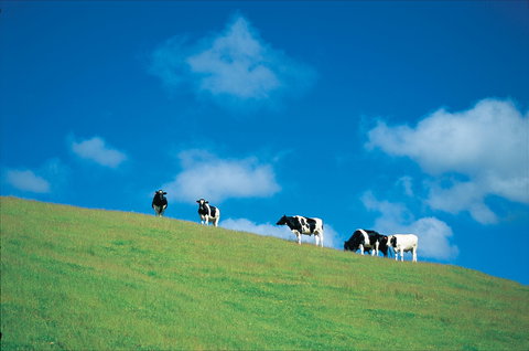 Bridgetown - Kingaroy Accommodation 0