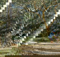 Bundanoon cycling route - Kingaroy Accommodation