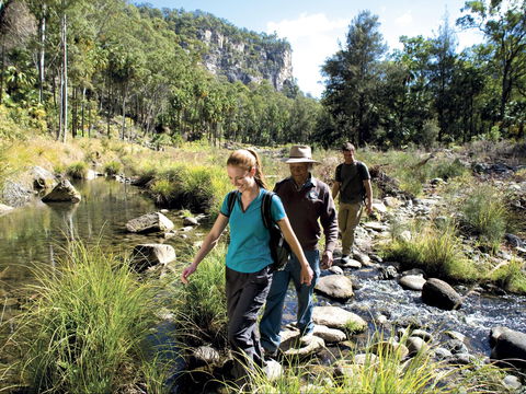 Dig The Tropic - Kingaroy Accommodation 1