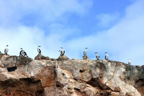 Dirk Hartog Island National Park - Kingaroy Accommodation 0