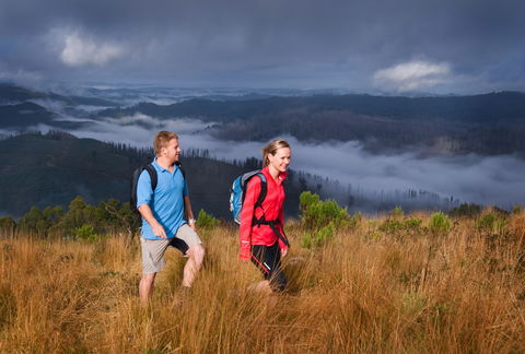 Grand Strzelecki Track - Kingaroy Accommodation 1