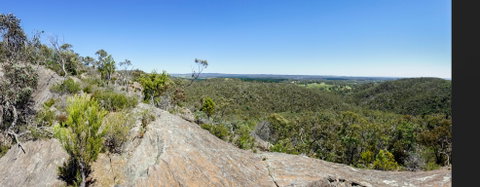 Hale Conservation Park - Kingaroy Accommodation 0