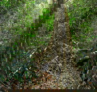 Iluka Nature Reserve - Kingaroy Accommodation