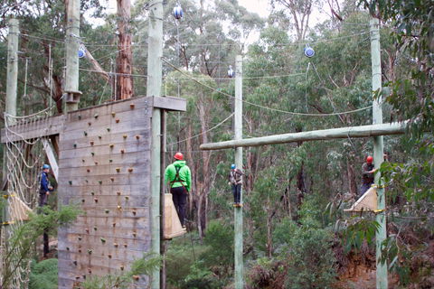 Kinglake Forest Adventures - Kingaroy Accommodation 1