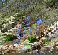 Kitty's Gorge Serpentine National Park - Kingaroy Accommodation