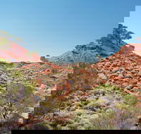 Lark Quarry Conservation Park - Kingaroy Accommodation