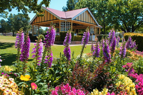 Laurel Bank Park - Kingaroy Accommodation 0