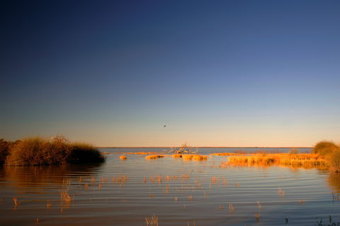 Malkumba-Coongie Lakes National Park - Kingaroy Accommodation 0
