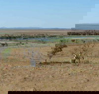 Marlgu Billabong - Kingaroy Accommodation