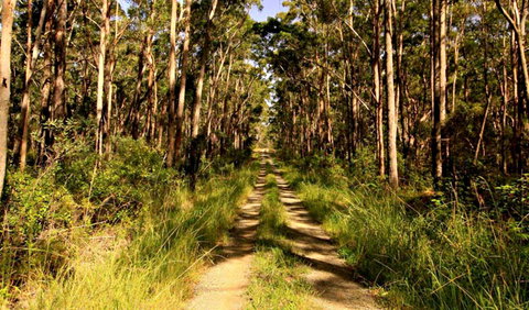 Mining Road Fire Trail, Old Gibber Road Rire Trail - Kingaroy Accommodation 0