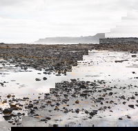 Mushroom Reef Beach - Kingaroy Accommodation