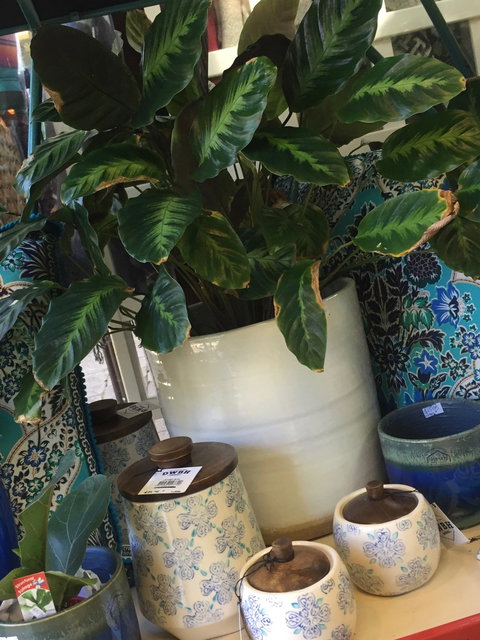 Noreen's Seaside Shop - Kingaroy Accommodation 0