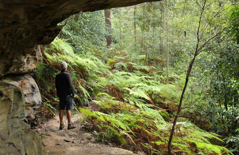 Old Great North Road Bike Ride - Kingaroy Accommodation 0