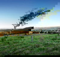 Ravensbourne National Park - Kingaroy Accommodation