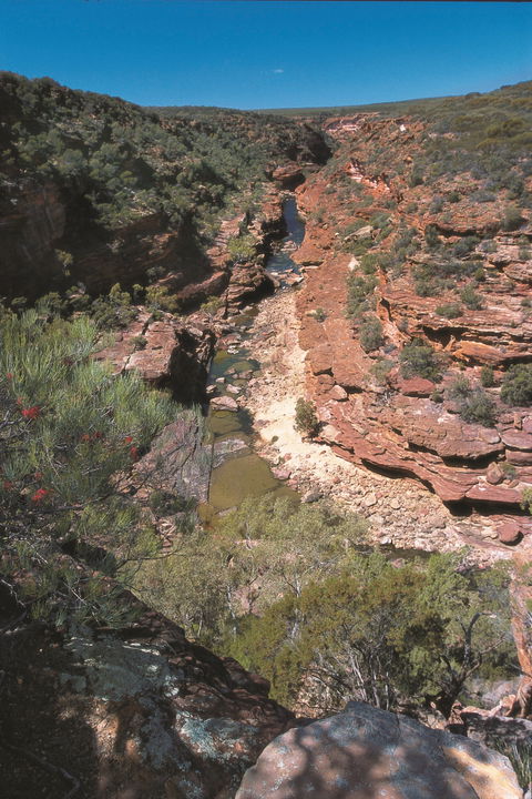 Ross Graham Lookout - Kingaroy Accommodation 0