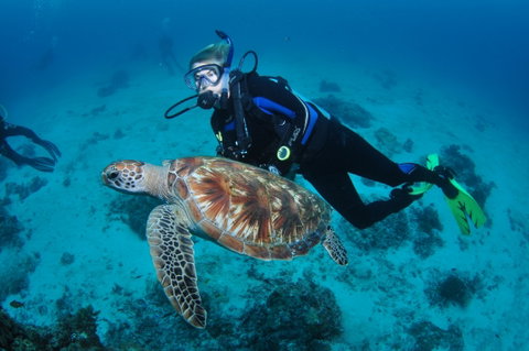 Second Reef Dive Site - Kingaroy Accommodation 0