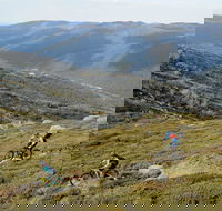 Thredbo Mountain Biking - Kingaroy Accommodation
