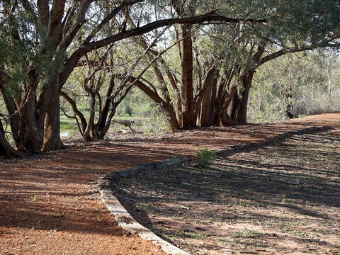 Warrego Floodplain Walking Track - Kingaroy Accommodation 0