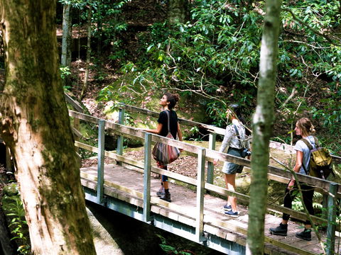 Watagans National Park - Kingaroy Accommodation 0