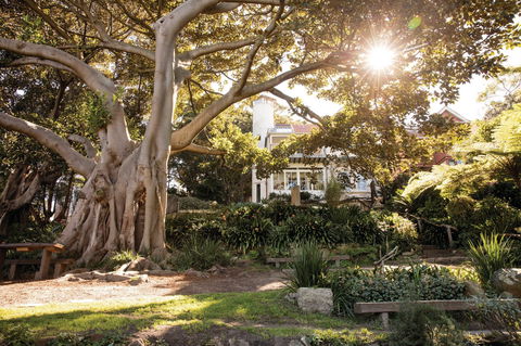 Wendy Whiteley's Secret Garden - Kingaroy Accommodation 0