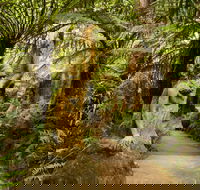 William Ricketts Sanctuary - Kingaroy Accommodation