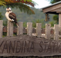 Yandina