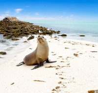 Abrolhos Islands - Kingaroy Accommodation