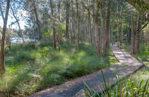 Anabranch Loop Track - Kingaroy Accommodation 0