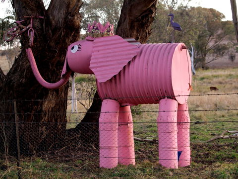 Animals On Bikes - Kingaroy Accommodation 0
