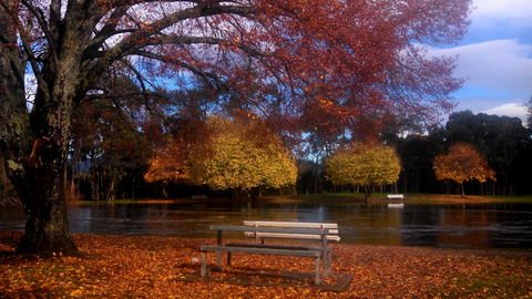 Bells Parade Reserve - Kingaroy Accommodation 0