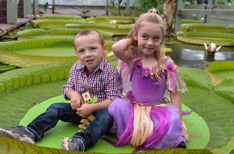 Blue Lotus Water Garden - Kingaroy Accommodation 2