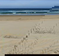 Bongil Beach - Kingaroy Accommodation