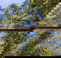 Bribie Island Bicentennial Trails - Kingaroy Accommodation