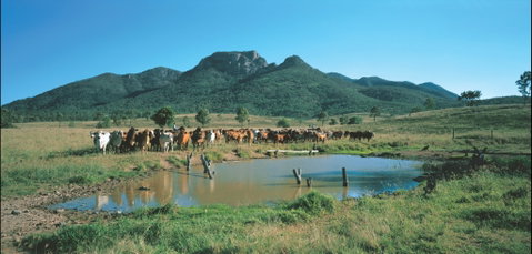 Bundaberg- Biggenden- Mount Perry Circle - Kingaroy Accommodation 0