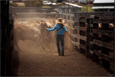 Bundaberg- Biggenden- Mount Perry Circle - Kingaroy Accommodation 1