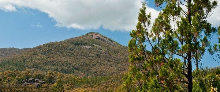 Tintaldra VIC Kingaroy Accommodation