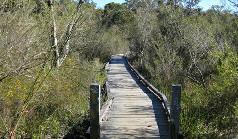 Falcon Crescent Link Track - Kingaroy Accommodation 0