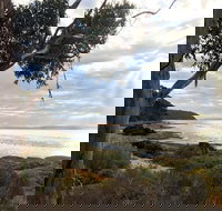 Fish Cannery Walking Trail - Kingaroy Accommodation