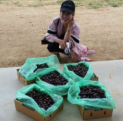 Hall Family Orchards - Kingaroy Accommodation 1