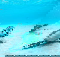 Jurien Bay - Kingaroy Accommodation