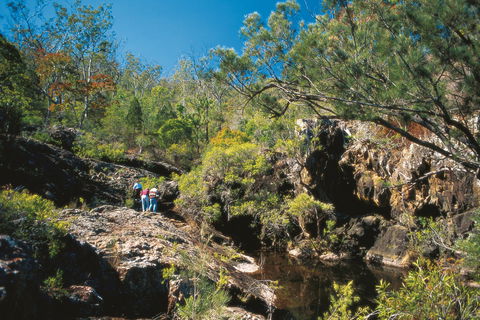 Kroombit Tops National Park - Kingaroy Accommodation 0
