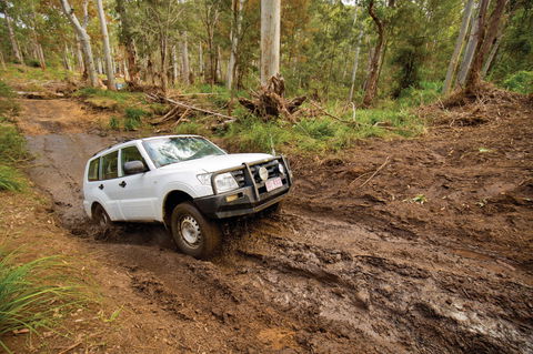 Kroombit Tops National Park - Kingaroy Accommodation 1