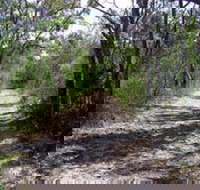 Lanky's Walk - Kingaroy Accommodation