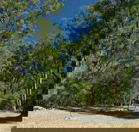 Maidens Tuart Forest - Kingaroy Accommodation