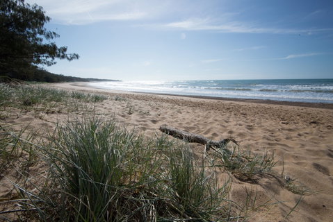 Mon Repos Beach - Kingaroy Accommodation 1