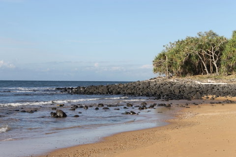Mon Repos Beach - Kingaroy Accommodation 2