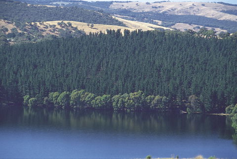 Myponga Reservoir Lookout - Kingaroy Accommodation 0