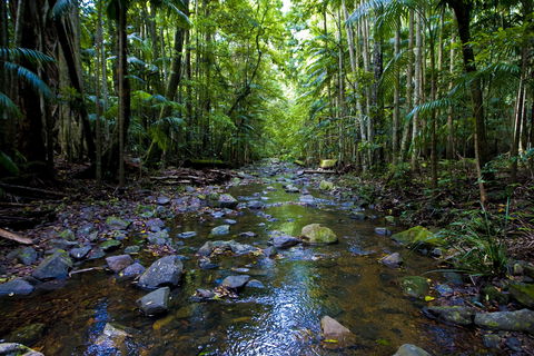 Nambucca Valley - Kingaroy Accommodation 0